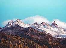 U23 亚洲杯决赛裁判组官宣，沙特阿尔巴拉维领衔执法中日对决