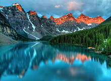 开云体育官网-澳网男女单四强出炉 德约科维奇将迎战辛纳